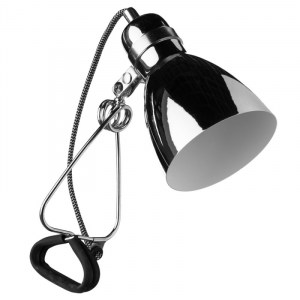 Настольная лампа Arte Lamp декоративная Dorm A1409LT-1CC