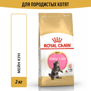 Сухой корм Royal Canin Maine Coon Kitten для котят мэйн кунов