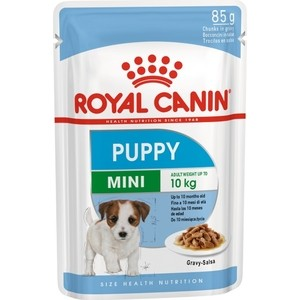 Пауч Royal Canin Mini Puppy Gravy-Salsa кусочки в соусе сальса для щенков мелких пород с 2 до