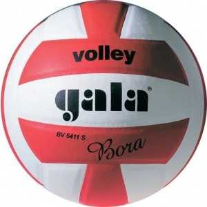 Мяч волейбольный Gala Bora 10', BV5671S размер 5