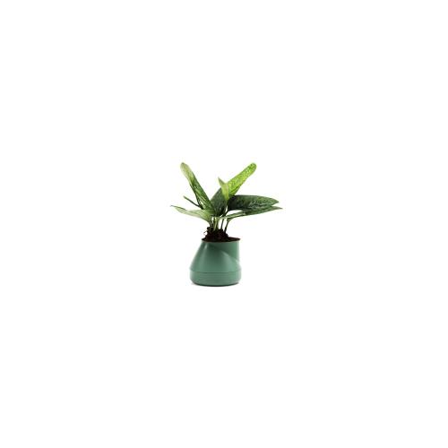 Qualy Горшок цветочный hill pot, маленький, зеленый арт. QLX20001-GN