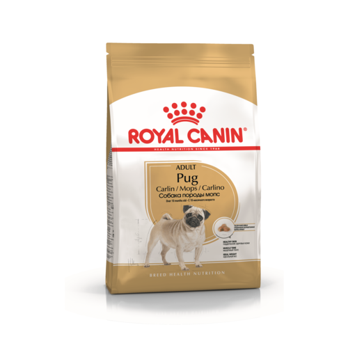 Royal Canin Adult Pug Сухой корм для взрослых собак породы Мопс, 500 гр
