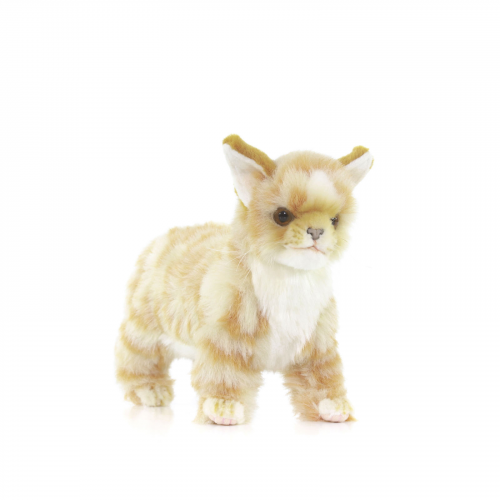 Реалистичная мягкая игрушка Hansa Creation Котёнок, рыжий, 22 см