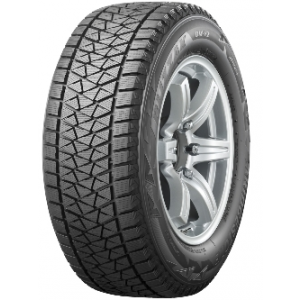 Шина Bridgestone Blizzak DM-V2 265/50 R19 110T