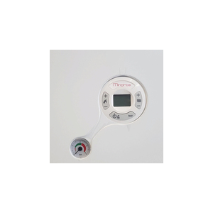 Настенный газовый котел Fondital MINORCA CTFS 9