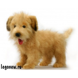 Мягкая игрушка Hansa Собака породы Голландский Смаусхонд 35 см