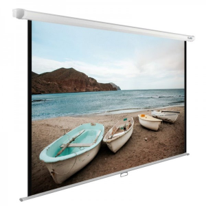 Экран Cactus 138x220см WallExpert CS-PSWE-220x138-WT настенно-потолочный рулонный