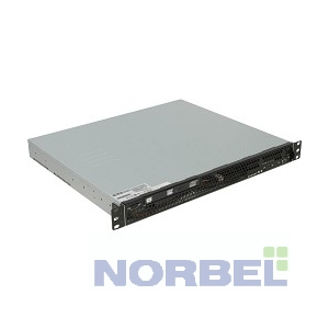 Серверная платформа Asus RS100-E9-PI2