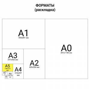 Тетрадь А5, 48 л., BRAUBERG, клетка, блестки, ДИВНЫЕ ПТИЦЫ 402811