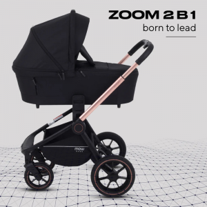 Коляска для двойни 2 в 1 FD-Design Zoom Street