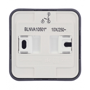 Выключатель Schneider Electric Blanca BLNVA105016 двухклавишный с изолирующей пластиной