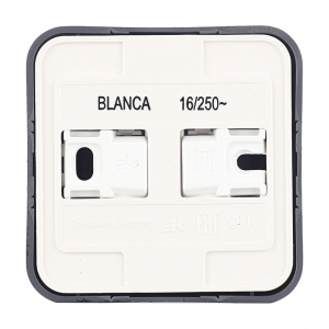 Розетка Schneider Electric Blanca BLNRA000116 одноместная без заземления с изолирующей пластиной