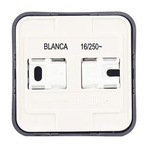 Розетка Schneider Electric Blanca BLNRA000116 открытая установка антрацит