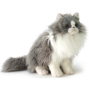 Персидский кот Табби серый с белым, Hansa
