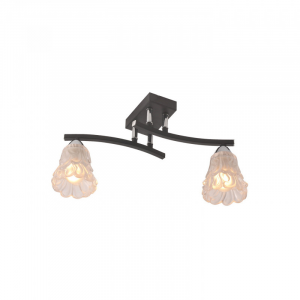 Потолочный светильник IDLamp 217/2PF-Blackchrome