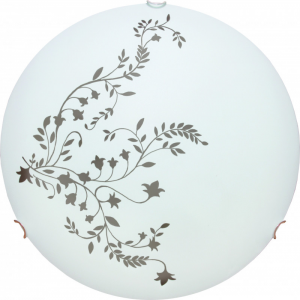 Настенно-потолочный светильник Arte Lamp ORNAMENT A3820PL-2CC