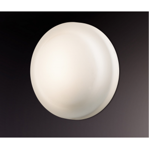 Накладной светильник Odeon Light 2760/1C
