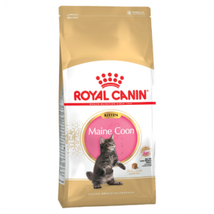 Royal Canin Maine Coon Kitten сухой корм для котят породы Мейн-кун