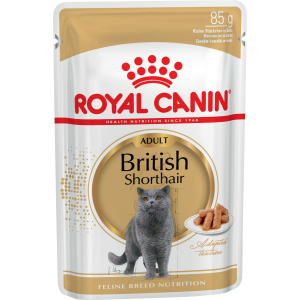 Royal Canin British Shorthair Adult в соусе