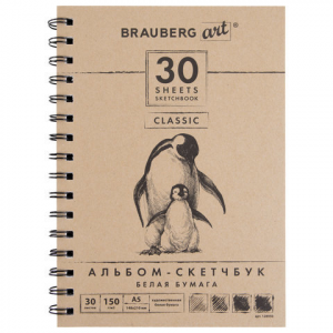 Альбом для эскизов (скетчбук) Brauberg 128950 белая бумага А5