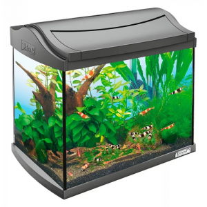 Аквариумный комплекс для рыб, креветок, ракообразных Tetra AquaArt LED Goldfish 20 л