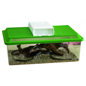 Террариум для рептилий, для черепах Savic Fauna Box Low, зеленый