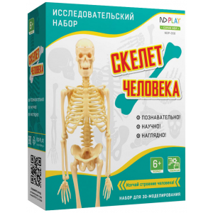 Набор исследовательский "Скелет человека" ND PLAY NDP-058