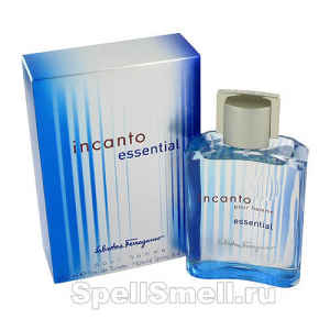 Туалетная вода Salvatore Ferragamo Incanto Essential Pour Homme 50 мл тестер