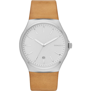 Мужские часы Skagen SKW6261