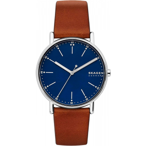 Мужские часы Skagen SKW6355