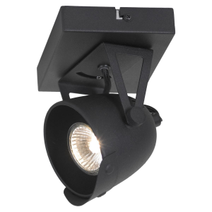 Настенно-потолочный светильник Lussole Loft LSP-9505