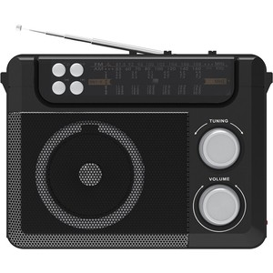 Портативный радиоприемник Ritmix RPR-200 black