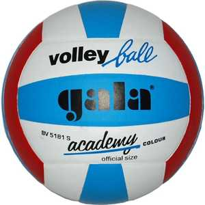 Волейбольный мяч Gala Academy ПУ BV5181S размер 5