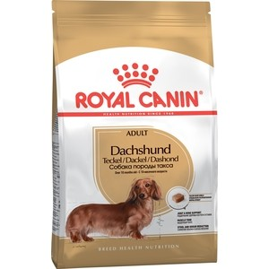Сухой корм для собак породы Такса Royal Canin "Dachshund Adult" с 10 месяцев