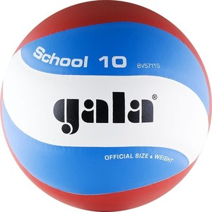 Мяч волейбольный Gala School 10 (BV5711S) размер 5
