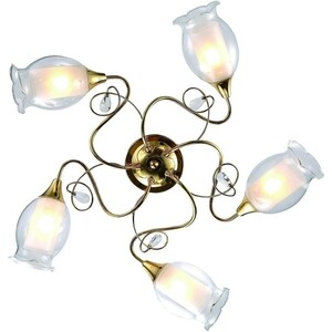 Светильник потолочный Arte lamp A9289pl-5go