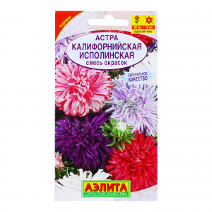 Аэлита Семена. Астра "Калифорнийская исполинская"