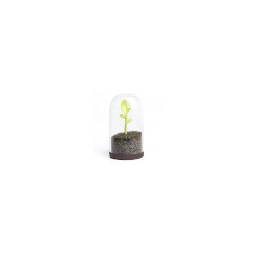 Qualy Контейнер для сыпучих продуктов Sprout Jar арт. QL10205-BN