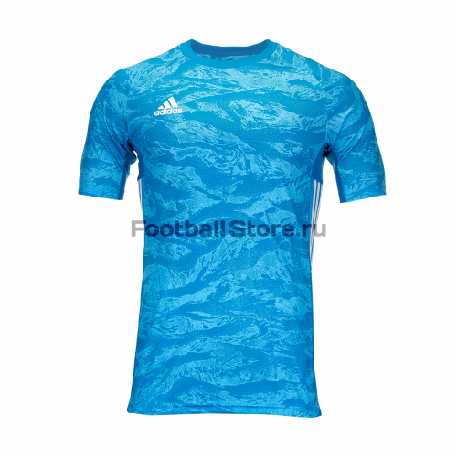 Вратарская футболка Adidas Adipro19 GK DP3132