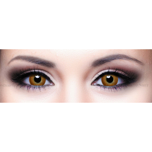 Belmore Contact Контактные линзы Illusion Colors Shine Коричневый Brown (2 линзы)