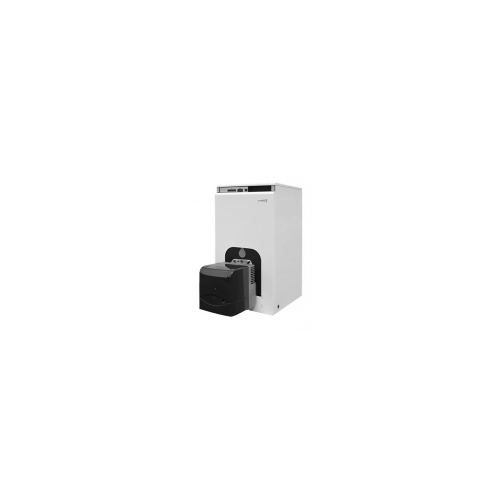 Комбинированный котел Protherm Bizon 70 NL