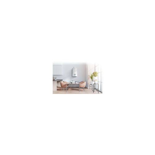 Настенный газовый котел Thermex EuroElite F10