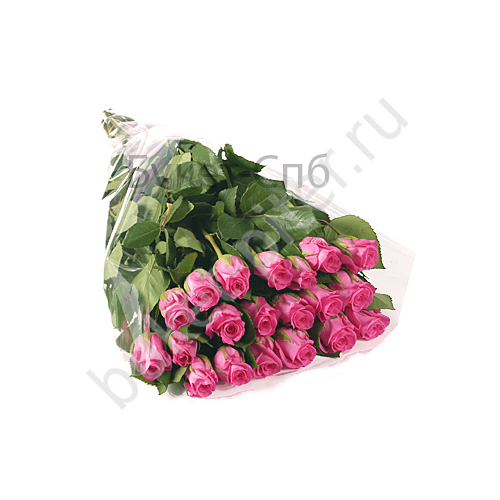 Букет из 21 розовой розы