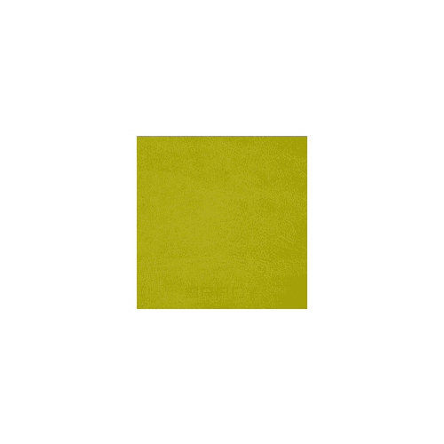 Имидж Мастер, Педикюрное кресло Надир пневматика, пятилучье - хром (33 цвета) Фисташковый (А) 641-1015