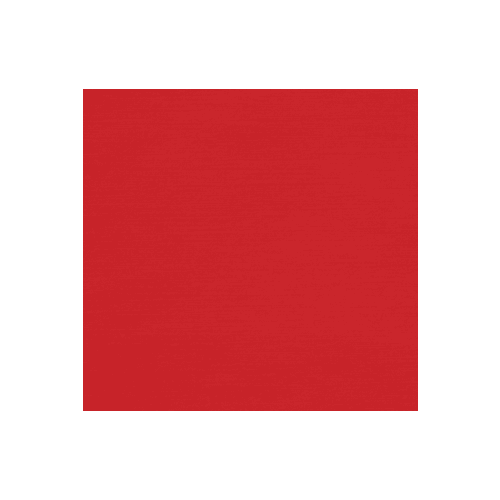 Имидж Мастер, Стул мастера Призма Эко низкий пневматика, пятилучье - пластик (33 цвета) Красный 3006