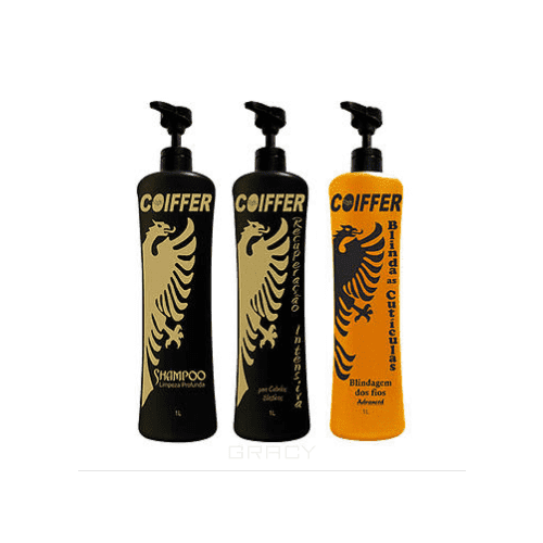 Coiffer, Blindagem Advanced Набор для выпрямления и восстановления сухих и ломких волос, 3 шт х 1 л