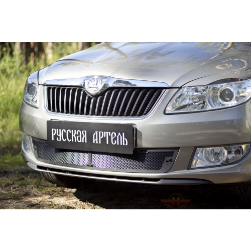 Защитная сетка переднего бампера для Skoda Fabia II 2010-2013 | шагрень