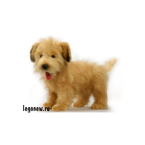 Hansa 4217 Игрушка мягкая Собака породы Голландский Смаусхонд, 35 см
