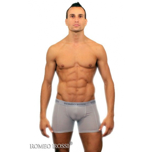 Светлые мужские трусы боксеры серого цвета Romeo Rossi Long boxers R7001-3