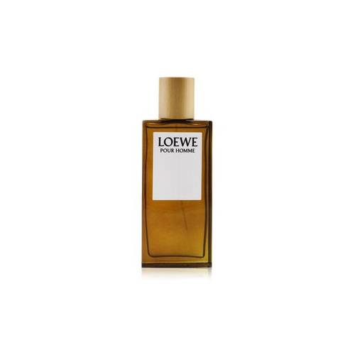 Loewe Пур Омм Туалетная Вода-Спрей 100ml/3.3oz